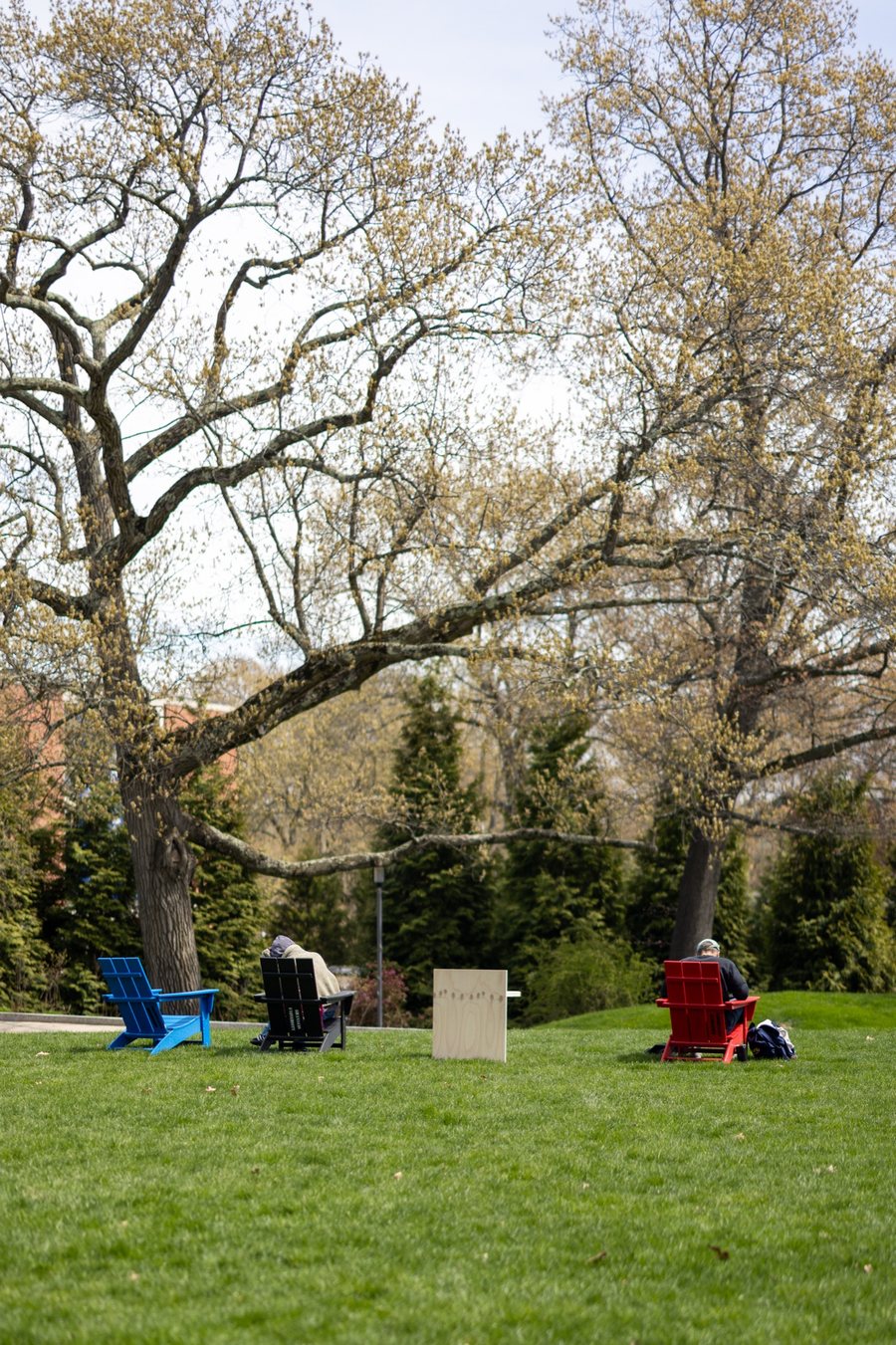 T.01 Axis Chair placed between outdoor lounge chairs under trees